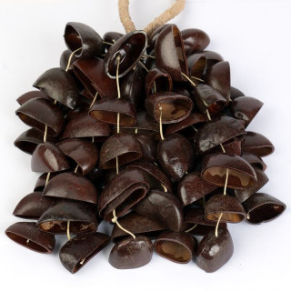 Сейла Сeed Shaker 6-Ряд Бендо Sela Seed Shaker 6-Row Bendo