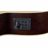 Акустическая бас-гитара Warwick Alien Deluxe 5 NT LH