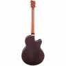 Акустическая бас-гитара Warwick Alien Deluxe 5 NT LH