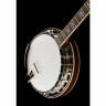 Король звукозаписи RK-Elite-75 Recording King RK-Elite-75