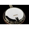 Король звукозаписи RK-Elite-75 Recording King RK-Elite-75