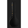 Король звукозаписи RK-Elite-75 Recording King RK-Elite-75