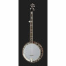 Король звукозаписи RK-Elite-75 Recording King RK-Elite-75