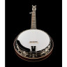 Король звукозаписи RK-Elite-75 Recording King RK-Elite-75