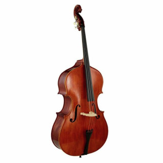 Scala Vilagio Контрабас Гофриллер IB Scala Vilagio Double Bass Gofriller IB