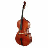 Scala Vilagio Контрабас Гофриллер IB Scala Vilagio Double Bass Gofriller IB