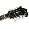 Мандолина Richwood RMF-100-VS Mandoline