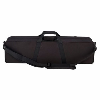Стандартный футляр для скрипки NS Design SVNC NS Design SVNC Standard Violin Case