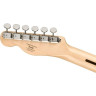 Сквайр Паран. Кабр. Тонкий телевизор 2SB Squier Paran. Cabr. Thin Tele 2SB