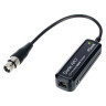 Dante AVIO Аналоговый входной адаптер 1x0 Dante AVIO Analog Input Adapter 1x0