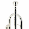 Schagerl TR-620S Bb-Труба Schagerl TR-620S Bb-Trumpet