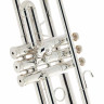 Schagerl TR-620S Bb-Труба Schagerl TR-620S Bb-Trumpet
