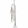 Schagerl TR-620S Bb-Труба Schagerl TR-620S Bb-Trumpet