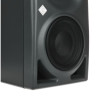 Активный монитор Neumann KH 150 AES67 Neumann KH 150 AES67