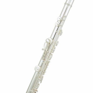 Канавка Sankyo CF 301 RBE Sankyo CF 301 Flute RBE