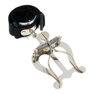 Томанн Альфорн "Шпиценклассе" в F# Набор №539196 Thomann Alphorn "Spitzenklasse" in F# Bundle №539196