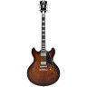 Данжелико Премьер Округ КОЛУМБИЯ Браун Лопнул DAngelico Premier DC Brown Burst