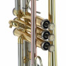 Труба Thomann TR 500 L Bb-Trumpet Thomann TR 500 L Bb-Trumpet