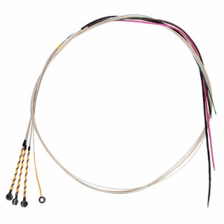 Pirastro Ева Пирацци G-Gold BE / L Pirastro Evah Pirazzi G-Gold BE / L