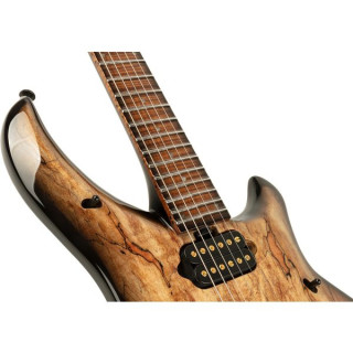 Музыкант Джон Петруччи Majesty 6 SM Music Man John Petrucci Majesty 6 SM