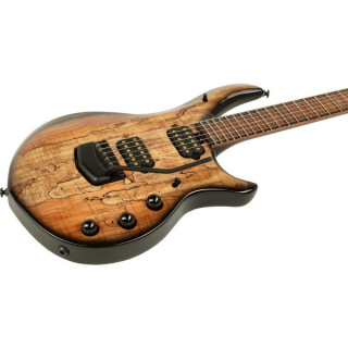 Музыкант Джон Петруччи Majesty 6 SM Music Man John Petrucci Majesty 6 SM