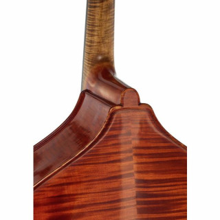 Scala Vilagio Контрабас Bucur IB Scala Vilagio Double Bass Bucur IB