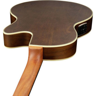 Акустическая бас-гитара Warwick Alien Deluxe Hybrid 4 FL LH NT