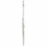 Жемчужные флейты PF-CD958 14K RBE Cantabile Pearl Flutes PF-CD958 14K RBE Cantabile
