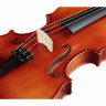 Франц Занднер Концерт класса Люкс Гварнери Franz Sandner Concerto De Luxe Guarneri