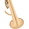 Флюгельгорн Schagerl Hans Gansch Flugelhorn scratch