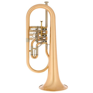 Флюгельгорн Schagerl Hans Gansch Flugelhorn scratch