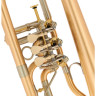Флюгельгорн Schagerl Hans Gansch Flugelhorn scratch