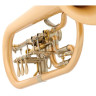 Флюгельгорн Schagerl Hans Gansch Flugelhorn scratch