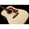 Guild Limited Edition D-50T NAT Guild Limited Edition D-50T NAT