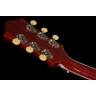 Guild Limited Edition D-50T NAT Guild Limited Edition D-50T NAT
