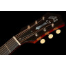 Guild Limited Edition D-50T NAT Guild Limited Edition D-50T NAT