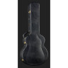 Guild Limited Edition D-50T NAT Guild Limited Edition D-50T NAT