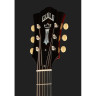 Guild Limited Edition D-50T NAT Guild Limited Edition D-50T NAT