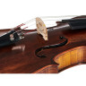 Скрипка Stentor SR1884 Violin Arcadia Antik Stentor SR1884 Violin Arcadia Antik