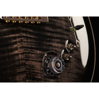 Специальный полупустотелый CB PRS PRS Special Semi-Hollow CB