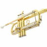 B&S BS210-1-0 Prodige Bb- Труба B&S BS210-1-0 Prodige Bb- Trumpet