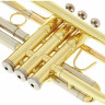 B&S BS210-1-0 Prodige Bb- Труба B&S BS210-1-0 Prodige Bb- Trumpet