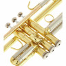 B&S BS210-1-0 Prodige Bb- Труба B&S BS210-1-0 Prodige Bb- Trumpet