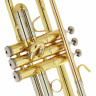 B&S BS210-1-0 Prodige Bb- Труба B&S BS210-1-0 Prodige Bb- Trumpet