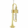 B&S BS210-1-0 Prodige Bb- Труба B&S BS210-1-0 Prodige Bb- Trumpet