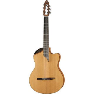 NOVA Гитары Innovator с PU NOVA Guitars Innovator w/PU