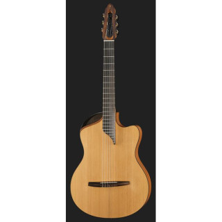 NOVA Гитары Innovator с PU NOVA Guitars Innovator w/PU