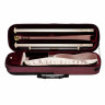 Корпус Artonus Geeston Sabbia LWcB 4/4 Artonus Geeston Sabbia Case LWcB 4/4
