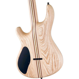 Майонес гитары Regius 6 TPI Mayones Guitars Regius 6 TPI