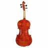 Альт в наборе Hidersine Piacenza Viola Set 15,5" Hidersine Piacenza Viola Set 15,5"